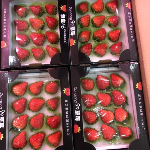 丹东九九草莓全国正式发货