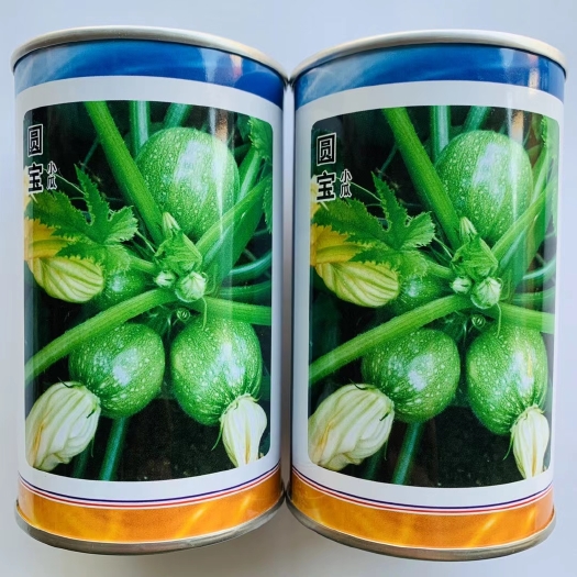 西葫芦种子圆宝西葫芦瓜油绿美观抗病肉质紧实品质口感好西葫芦种