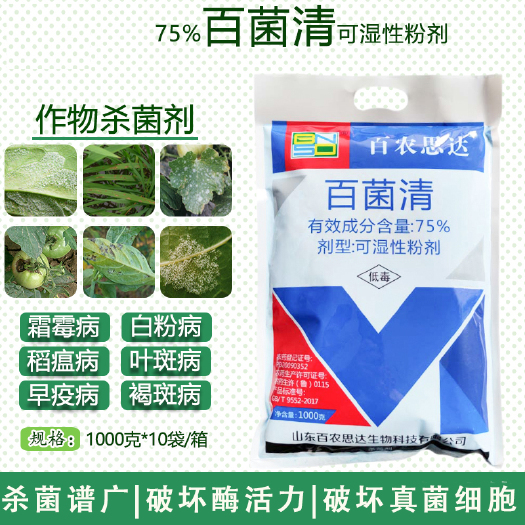 百菌清蓝粉 果树蔬菜花卉 黄瓜霜霉病白粉病晚疫广谱杀菌剂