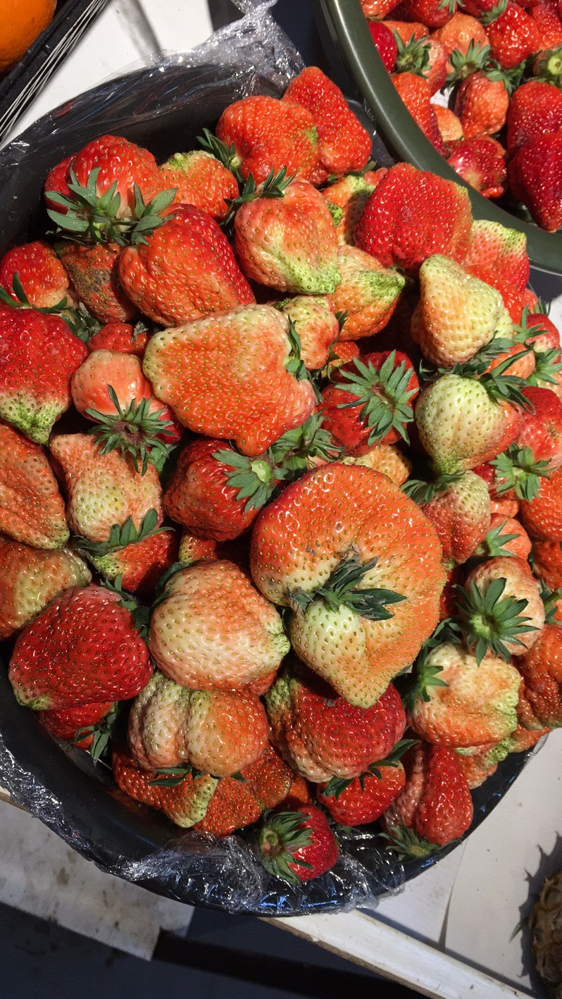 安徽红颜草莓 便宜货