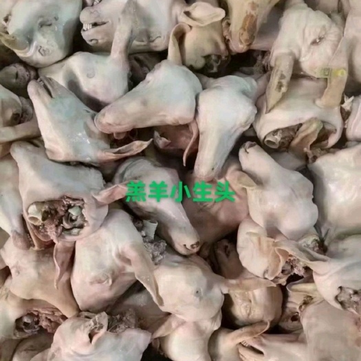 邹平市内蒙古水退火燎羊头