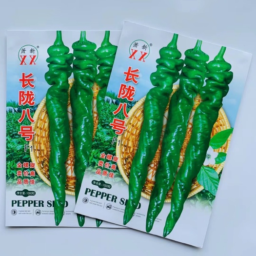 沭阳县辣椒种子萧新长陇八号螺丝椒早熟高产抗病味辣香浓杂交螺丝椒种籽