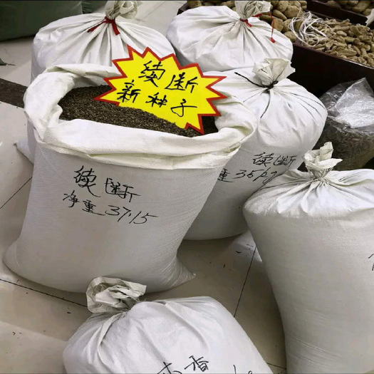 昆明当年【续断种子】1斤/1公斤和尚头种子川断苗/下单发货
