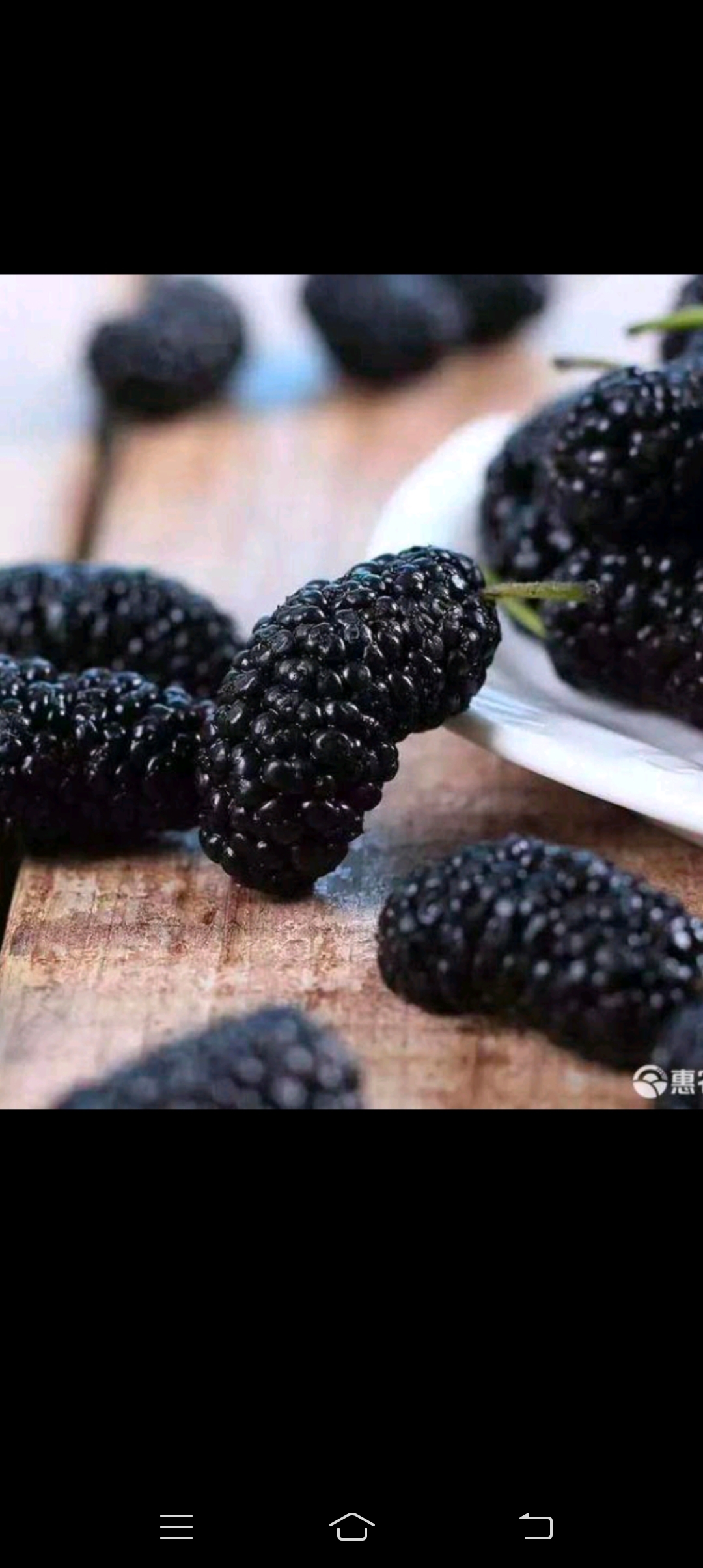 新疆桑椹干,颗大饱满,干货味道好