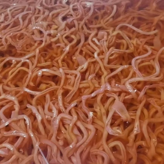 成都鸭肠