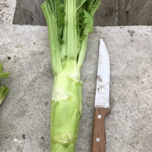 三台县棒菜