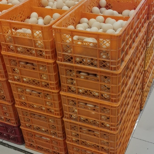 南宫市散装，筐装，粉鸡蛋柴鸡蛋