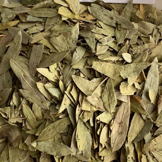 亳州番泻叶泻叶花茶用料大货批发量大从优