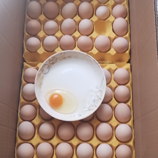 长沙县土鸡蛋 中码蛋 粉绿混装 土鸡蛋