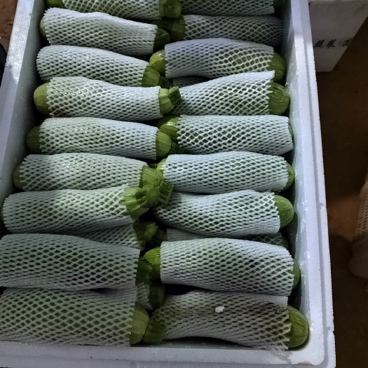 昆明西葫芦，小瓜。