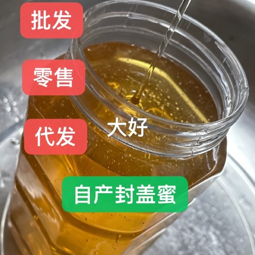 招远市农家自产蜂蜜—枣花蜜，自然成熟封盖蜜，国标质量标准一级品