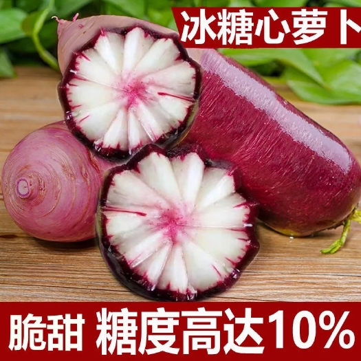 冰淇淋萝卜种子甜脆可生吃水果萝卜种子紫皮红心萝卜籽蔬菜种子