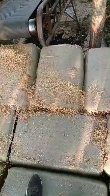 正阳县小麦秸秆正在加工中常年出售质量杠杠的欢迎新老客户订购。