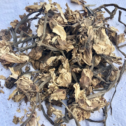 亳州睡蓮花中藥材睡蓮花大貨批發(fā)量大從優(yōu)