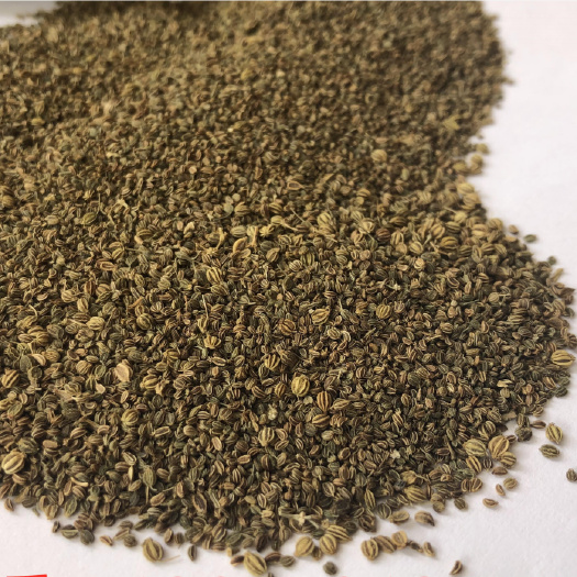 亳州芹菜籽中药材芹菜籽大货批发量大从优