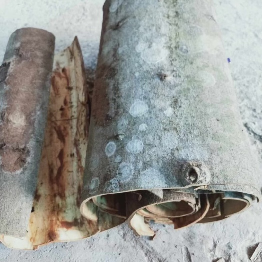 阳江大量越南桂皮出售，有需要的请联系