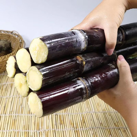 甘蔗黑皮甘蔗水果甘蔗一件代发