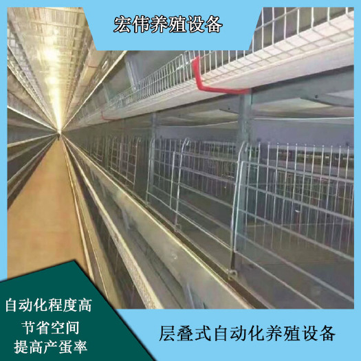 荥阳市养殖场用养鸡笼子图片 蛋鸡自动化养殖设备原产地发货