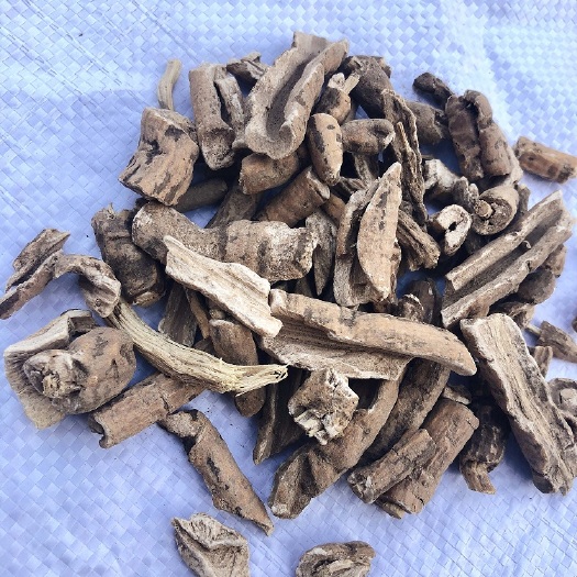 亳州盒果藤根皮中药材现货批发量大从优