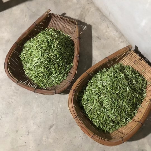 都匀市贵州都匀毛尖，2023新茶，嫩芽尖，半斤装，量大优惠。