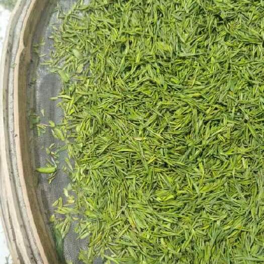 达州绿茶