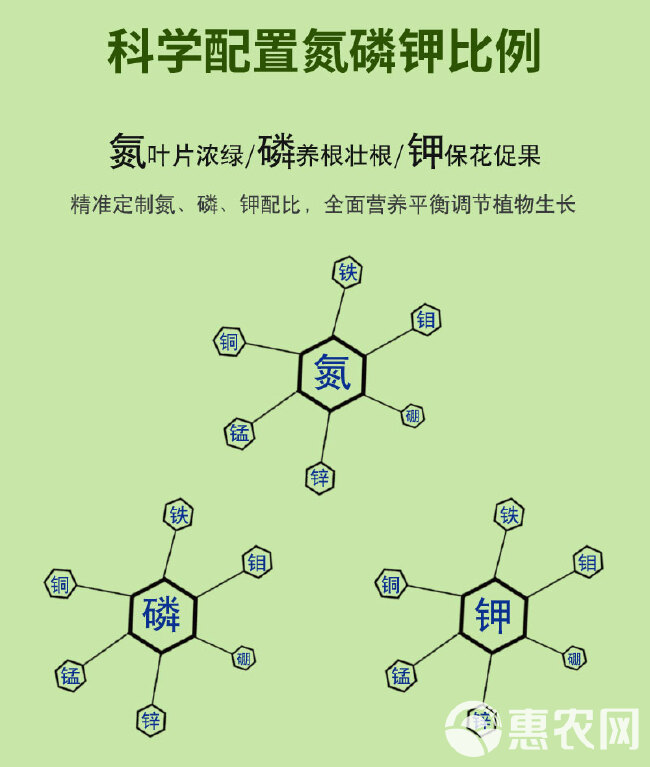 高钾肥大量元素水溶肥20-10-30+TE海藻膨果期