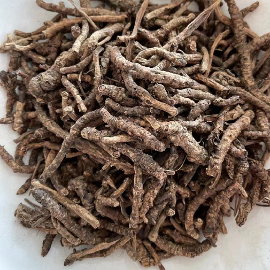 亳州胡黄连中药材大货批发量大从优