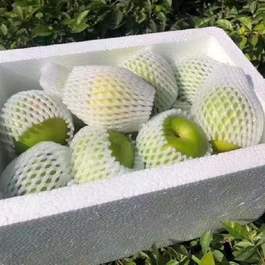 漳浦县福建青枣牛奶枣贵妃枣脆蜜枣苹果枣一件代发整车供应