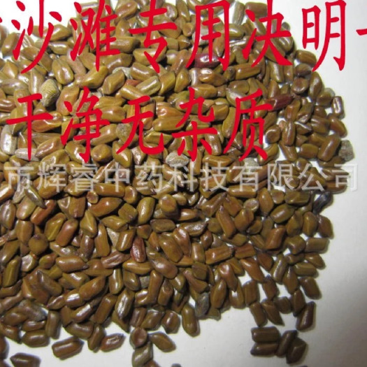 亳州决明子花茶用决明子沙池用决明子大货批发量大从优