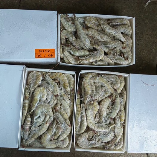 正宗桑塔盐冻大虾，只只分离，质量好
