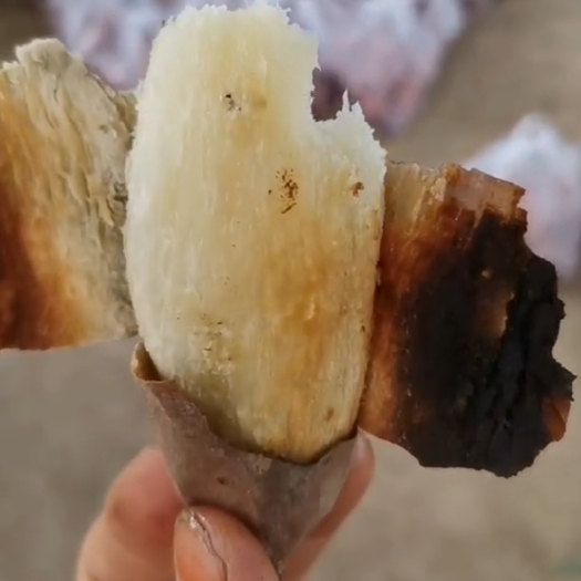 霸州市白哈密冰糖心