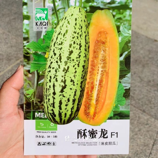 沭阳县酥蜜龙甜瓜种子 早熟花皮牛角酥甜瓜种籽酥脆香甜，优质早熟品种