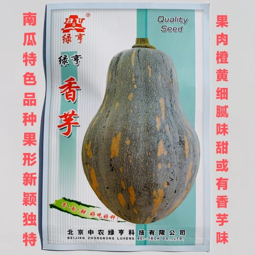 沭阳县绿亨香芋南瓜种子果形新颖独特肉橙黄细腻味甜或有香芋味南瓜种子