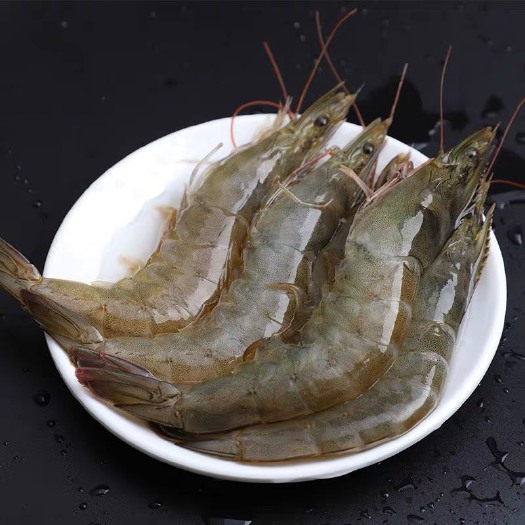 连云港海捕大虾