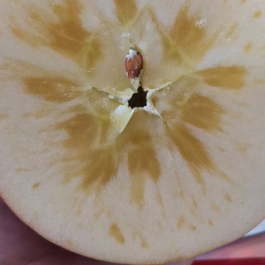 昭通昭通糖心苹果，昭通丑苹果