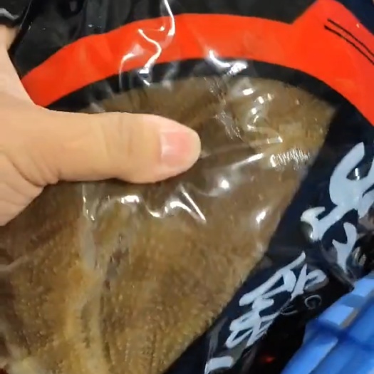 成都水牛黑个子整肚