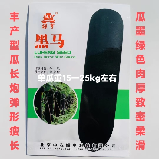 沭阳县冬瓜种子绿亨黑马黑冬瓜丰产型瓜长炮弹形瘦长墨绿色肉厚冬瓜种子