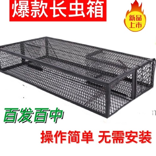 邵东市爆款实用长虫箱，引龙箱，高效捕龙
