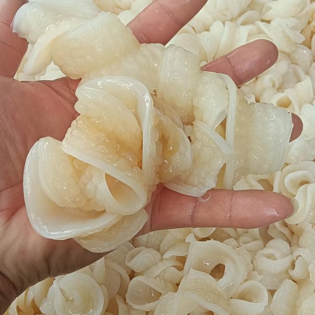 新鲜鱼肚，鱼肠