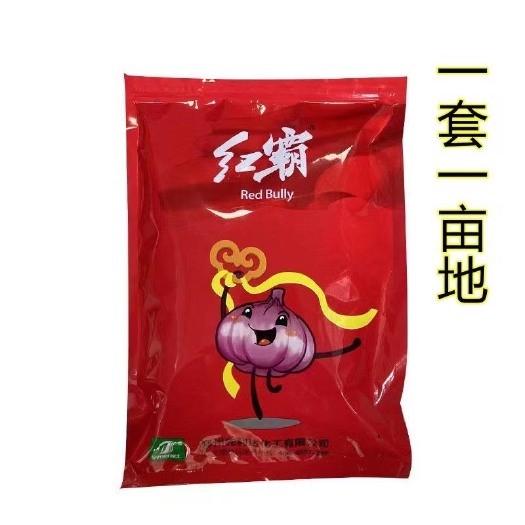长沙红霸大蒜套餐增产增收保健葱姜蒜通用