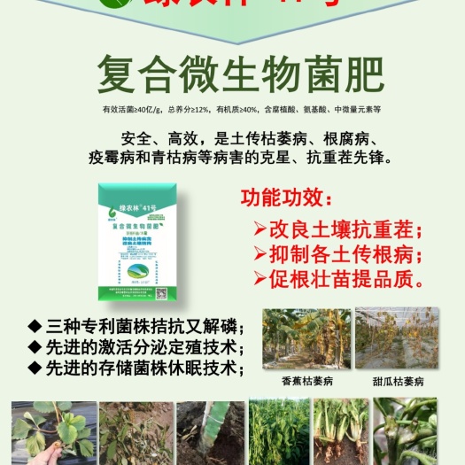 仙居县绿农林41号复合微生物菌肥（协控枯萎病、根腐病、青枯病等）