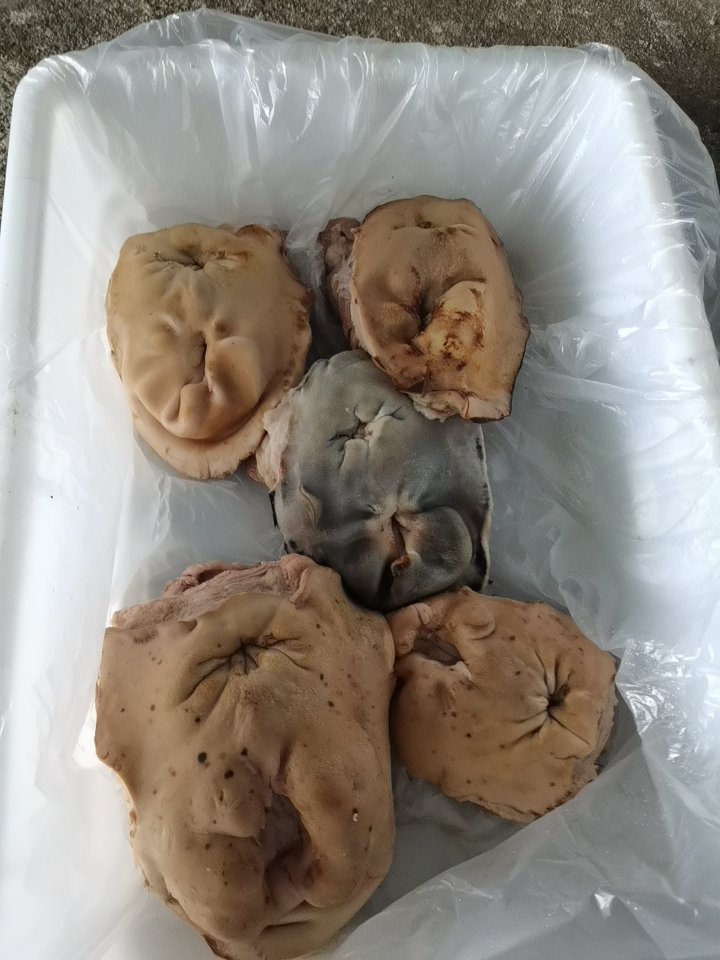 佛山牛欢喜，牛下料牛产品