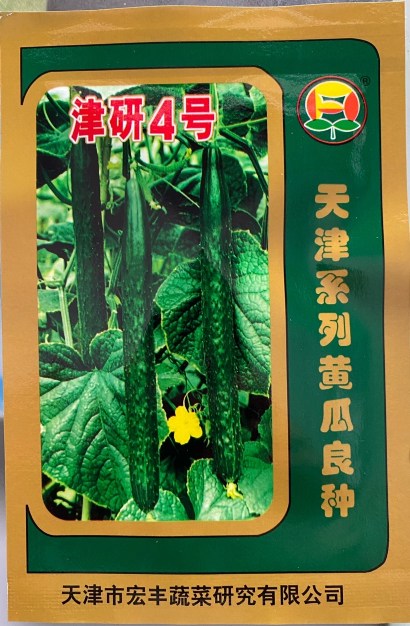 宜城市天津宏丰公司，津研四号黄瓜种子