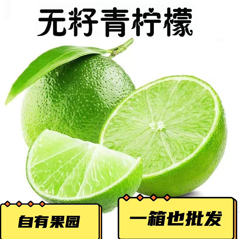  ʱƤԽ̩Ʒ