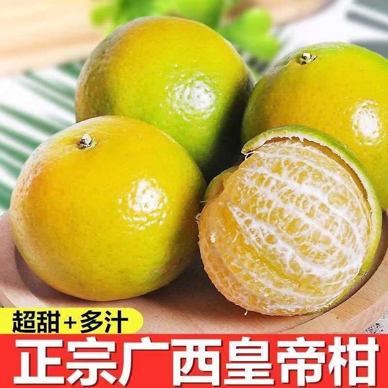 【一件代发】广西皇帝柑新鲜广西贡柑大果当季水果甜橘子蜜橘桔子
