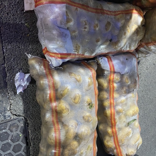 特大包装土豆