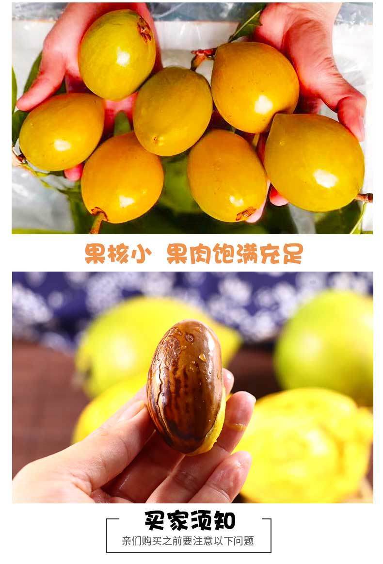 蛋黄果新鲜海南鸡蛋果5斤应季罕见的水果当季特产整箱批发