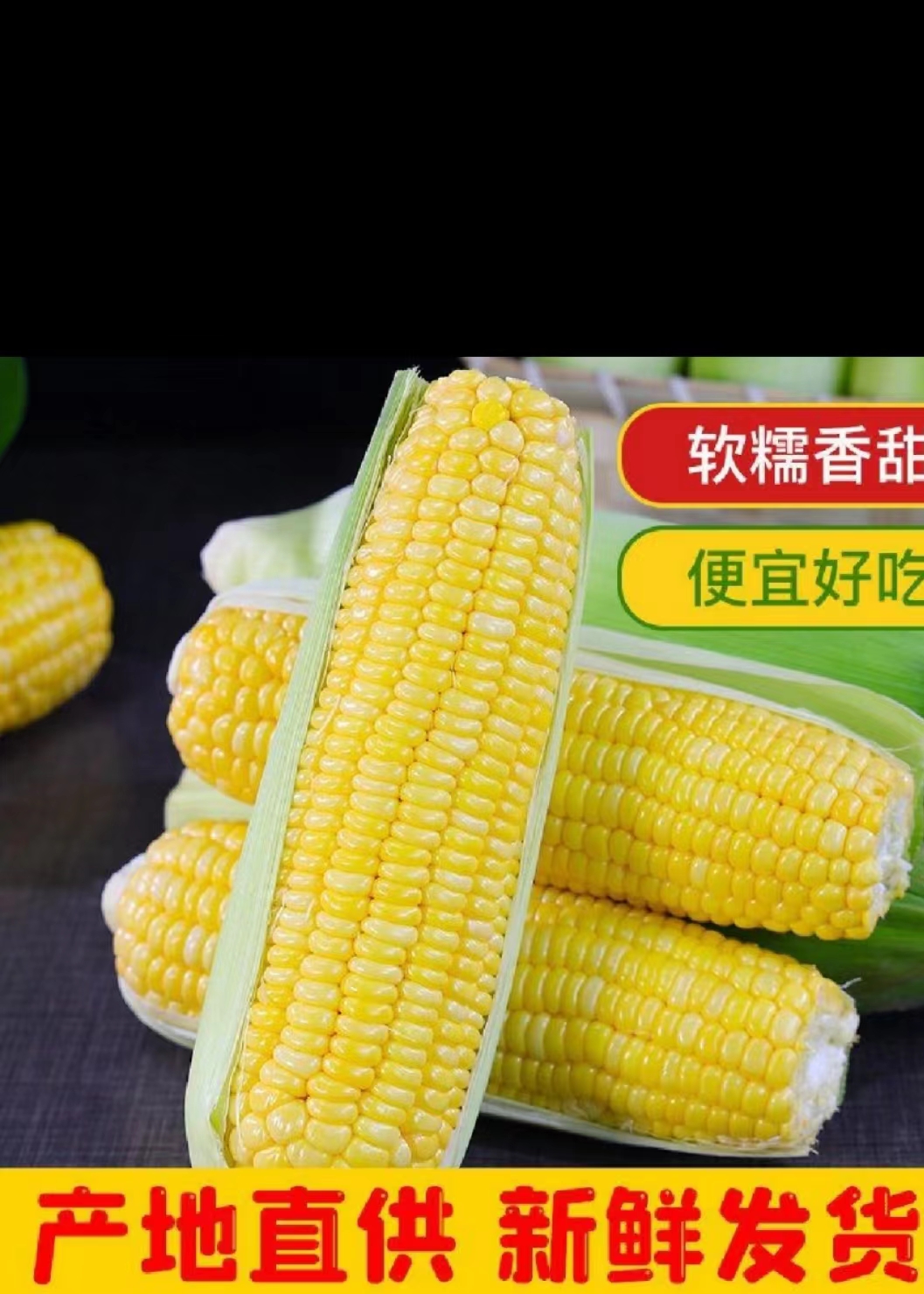 徐闻县广东省湛江徐闻玉米，水果甜玉米，欢迎各位老板来采购，产地直销