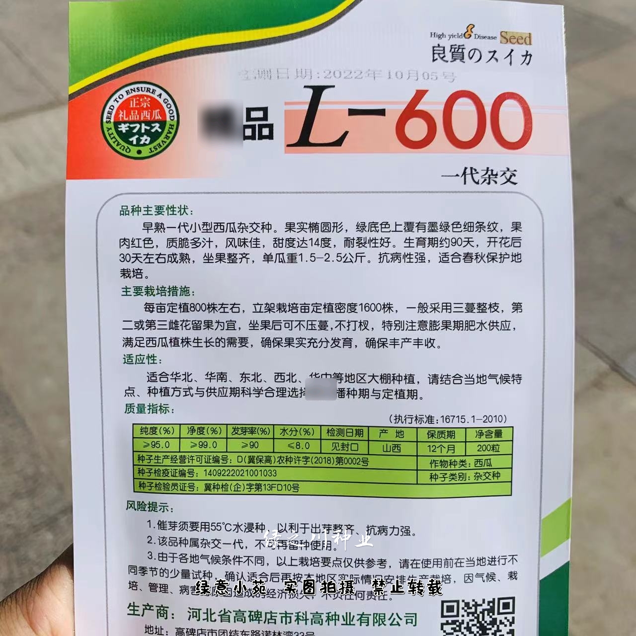 L600礼品西瓜种子超甜早熟小型西瓜种籽耐裂小果西瓜种孑特甜