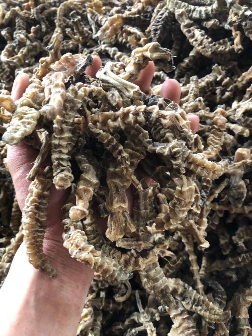 玉林虫草参 地参 30吨现货供应